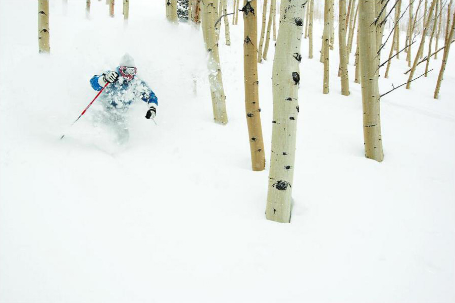 Deer Valley (UT) by Dan Campbell