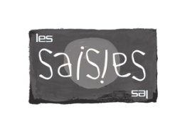 logosaisie